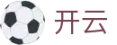 开云-KAIYUN官方主页 - 手机网页版登录